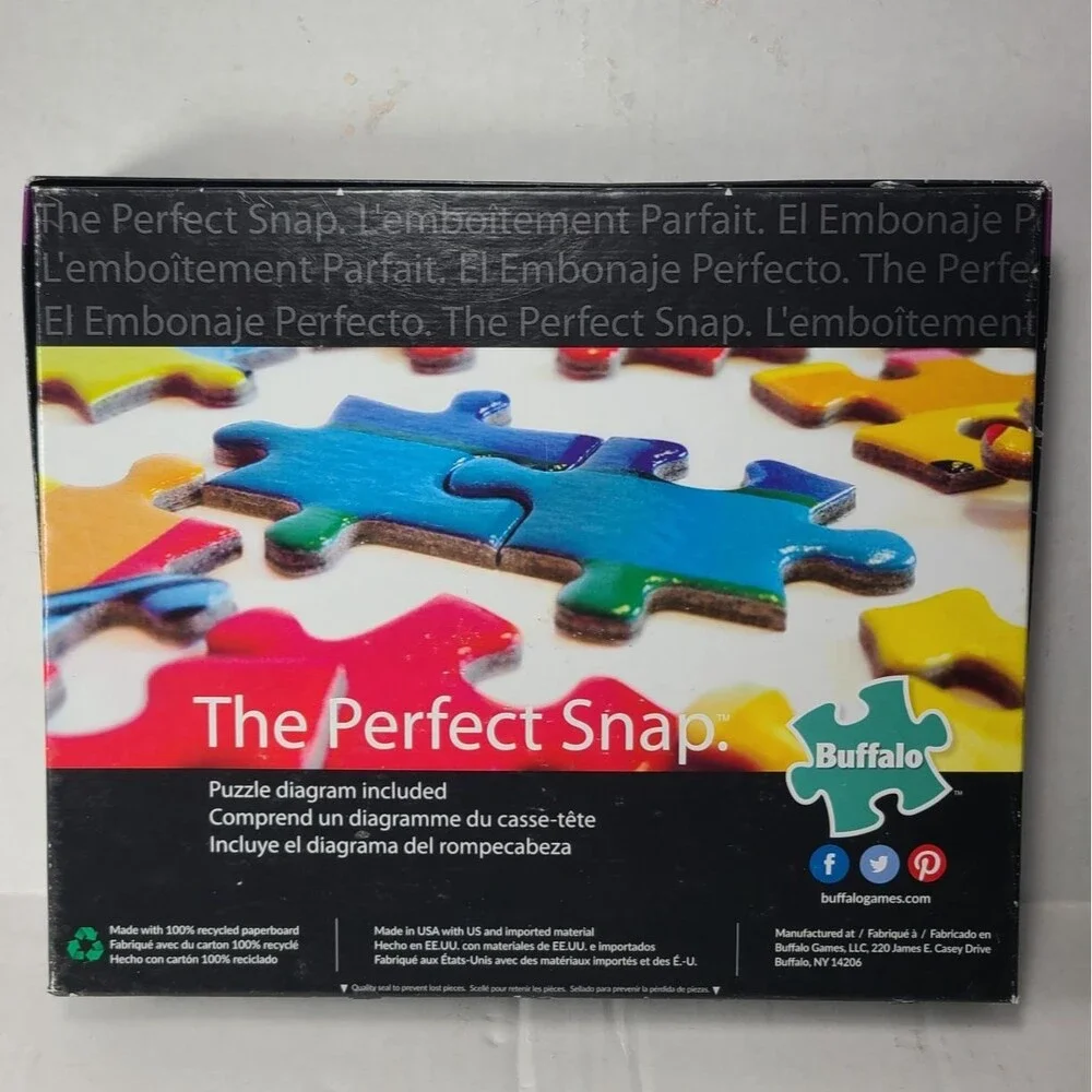 Family Campsite Jigsaw Puzzle Buffalo 9200 Aimee Stewart 2000 Piece Bonus Poster